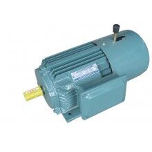 YEJ2系列電磁制動(dòng)電動(dòng)機(jī)